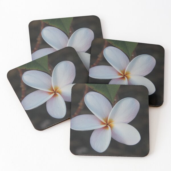 Item preview, White Plumeria, Kona, Hawaii designed and sold by GardenAndEasel.