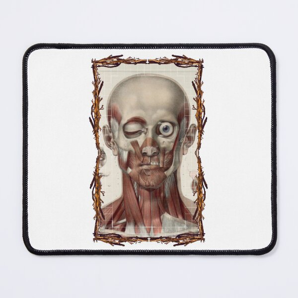 Item preview, Tablero anatómico Cráneo y músculos faciales: diseños anatómicos, tableros de anatomía y cuerpo humano designed and sold by AdvanceDesign.