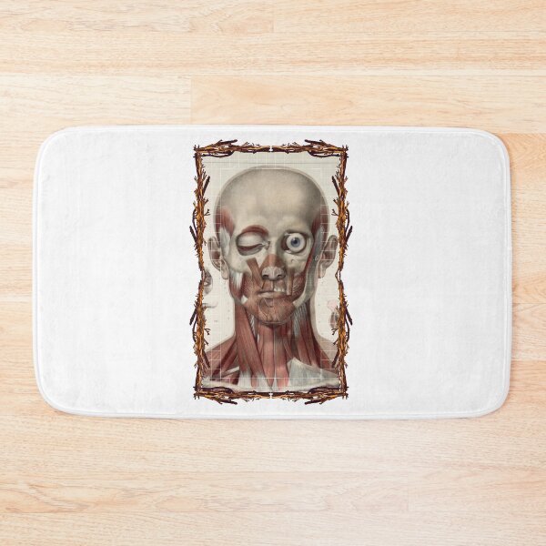 Item preview, Anatomical board Skull and facial muscles - Anatomical designs, human body and anatomy boards designed and sold by AdvanceDesign.