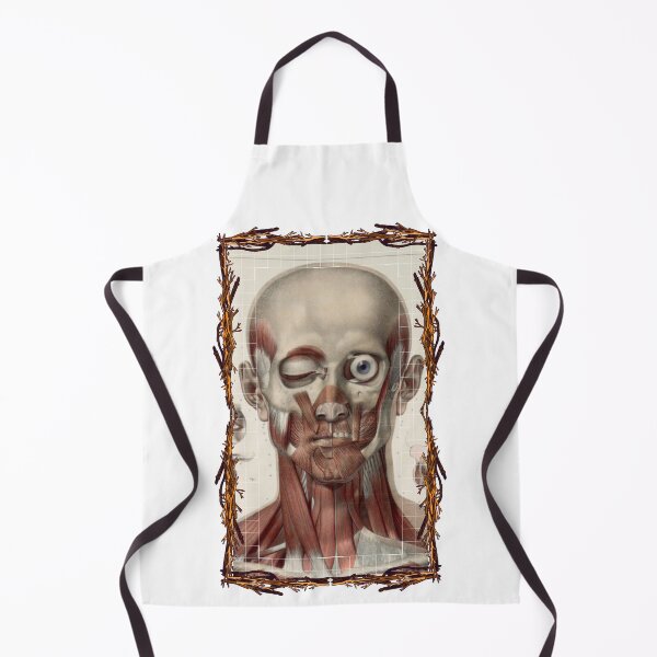 Item preview, Anatomical board Skull and facial muscles - Anatomical designs, human body and anatomy boards designed and sold by AdvanceDesign.