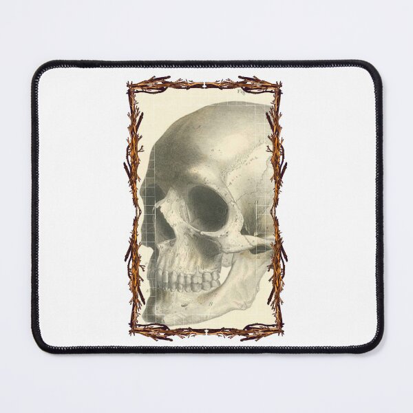Item preview, Anatomical board Skull - Anatomical designs, human body and anatomy boards designed and sold by AdvanceDesign.