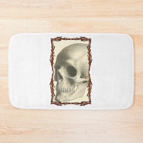 Item preview, Anatomical board Skull - Anatomical designs, human body and anatomy boards designed and sold by AdvanceDesign.