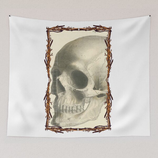 Item preview, Anatomical board Skull - Anatomical designs, human body and anatomy boards designed and sold by AdvanceDesign.