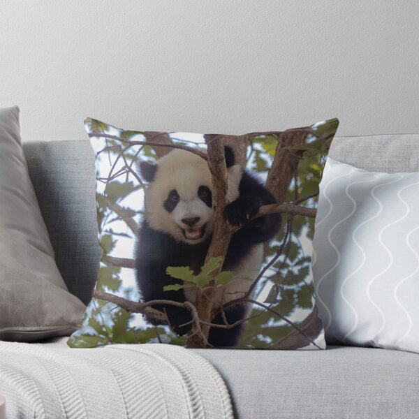 Item preview, Baby Panda Xiao Qi Ji at the National Zoo designed and sold by Zoo and Nature Photography by Karie.