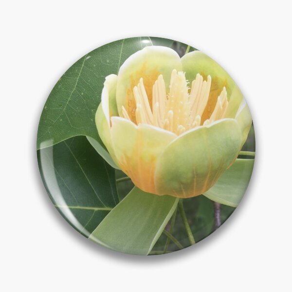 Item preview, Tulip tree designed and sold by peggie-prints.