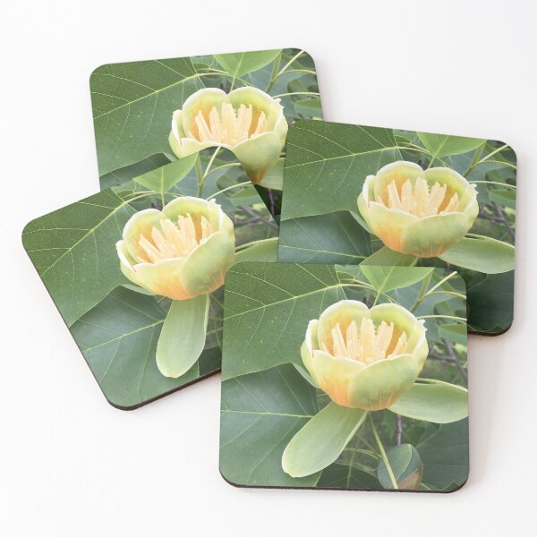 Item preview, Tulip tree designed and sold by peggie-prints.