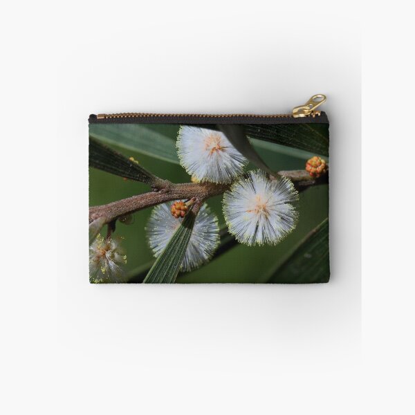 Item preview, Acacia baeuerlenii  designed and sold by andrachne.