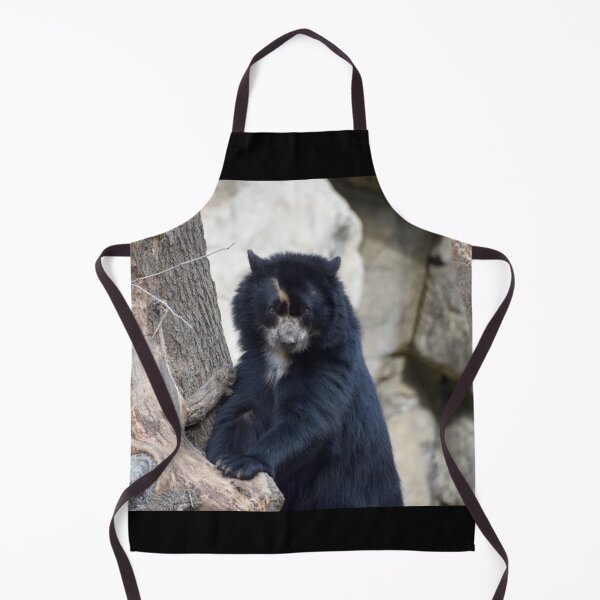 Item preview, Andean Bear at the National Zoo designed and sold by Zoo and Nature Photography by Karie.