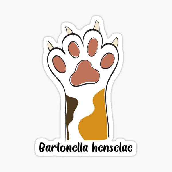 Vista previa del artículo con la obra «Bartonella henselae», diseñado y vendido por introVETed.