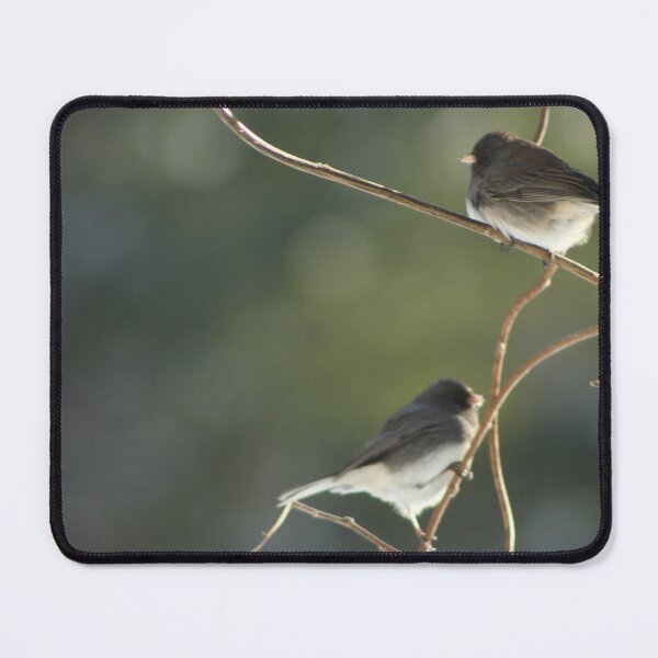 Item preview, Pair of Juncos Climb Branches Together designed and sold by Hazel Hall.