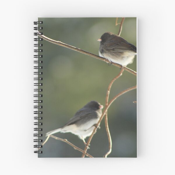 Item preview, Pair of Juncos Climb Branches Together designed and sold by Hazel Hall.