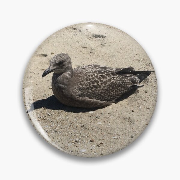 Item preview, Judging Bird on the Beach designed and sold by Hazel Hall.