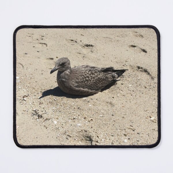 Item preview, Judging Bird on the Beach designed and sold by Hazel Hall.
