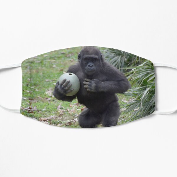 Gorilla Moke im National Zoo Flache Maske