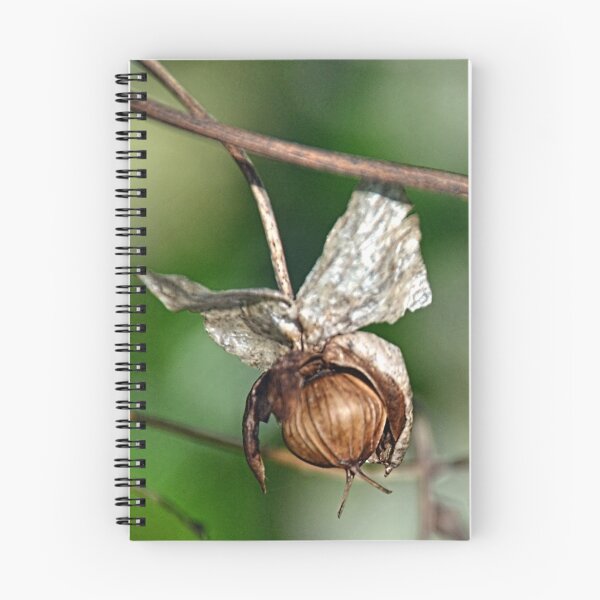 Item preview, Unusual Find............ designed and sold by lynn carter.