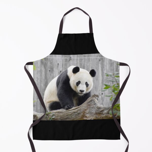Item preview, Bei Bei at the National Zoo designed and sold by Zoo and Nature Photography by Karie.