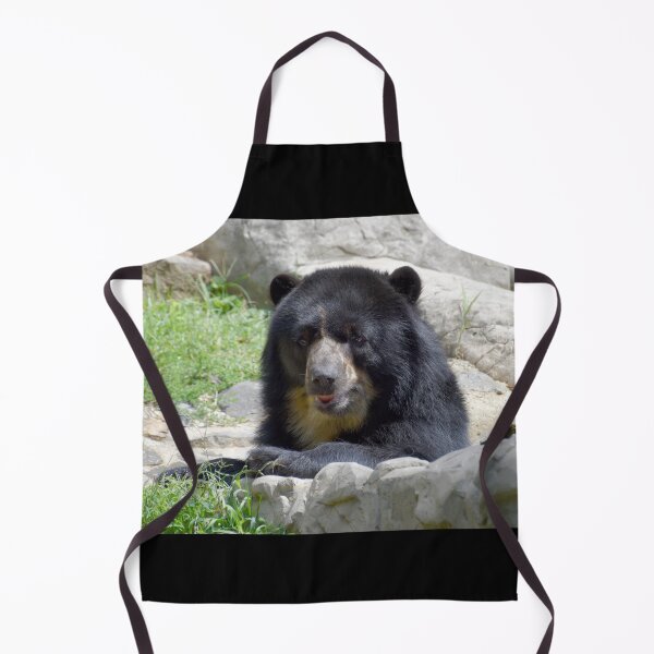 Item preview, Andean Bear at the National Zoo designed and sold by Zoo and Nature Photography by Karie.