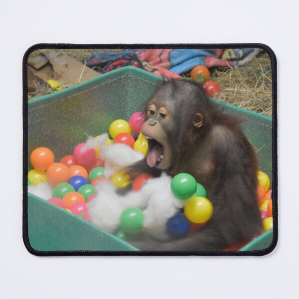 Item preview, Orangutan Redd at the National Zoo designed and sold by Zoo and Nature Photography by Karie.