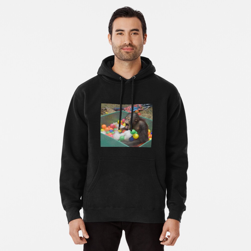 Item preview, Pullover Hoodie designed and sold by kariek17.