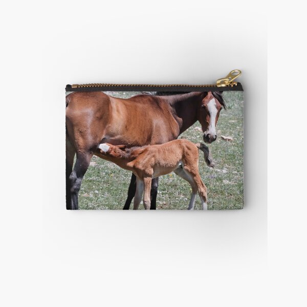 Item preview, Stallion Colt Nurses designed and sold by Ken McElroy.