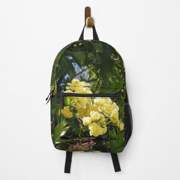 Item preview, Lady Banks rose designed and sold by greentiger1.