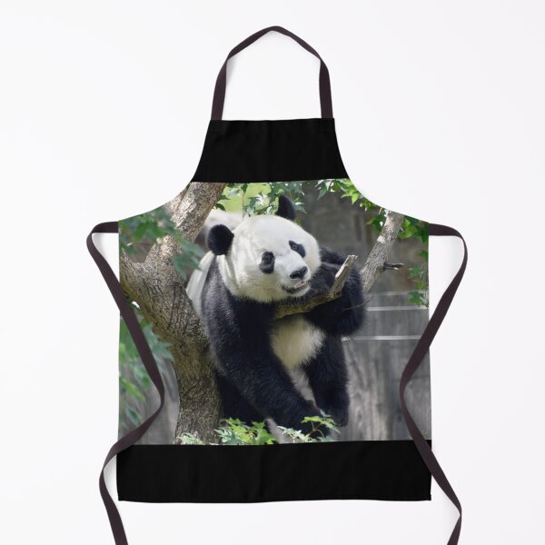 Item preview, Giant Panda Bei Bei at the National Zoo designed and sold by Zoo and Nature Photography by Karie.