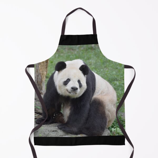 Item preview, Giant Panda Tian Tian at the National Zoo designed and sold by Zoo and Nature Photography by Karie.