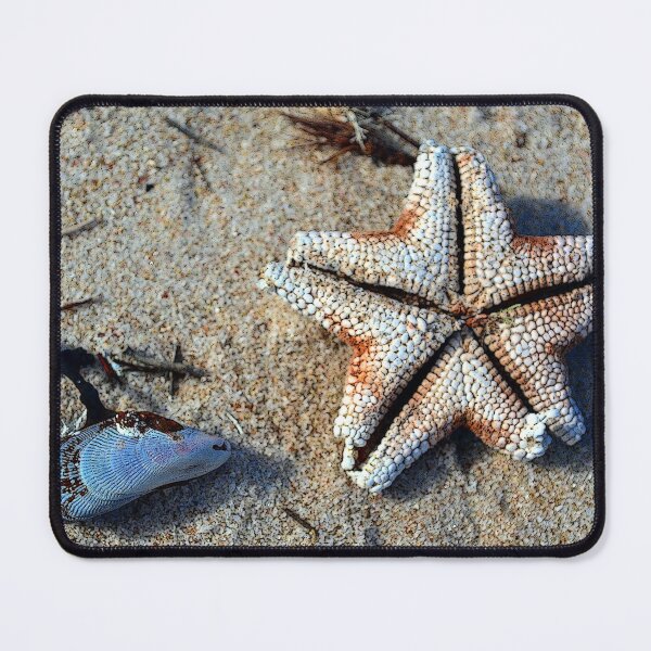 Item preview, Carrickalinga Starfish designed and sold by TripodDogShop.