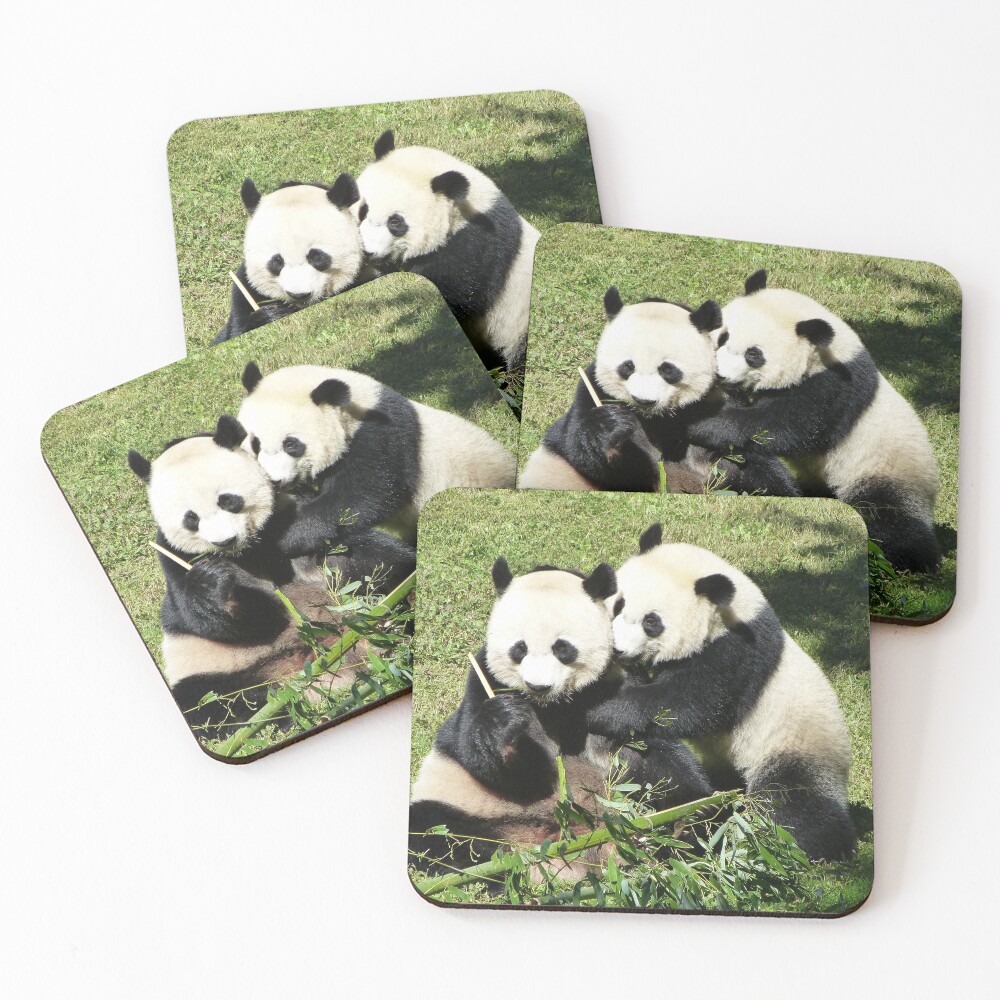 Giant Pandas Mei Xiang and Bei Bei at the National Zoo Coasters (Set of 4)