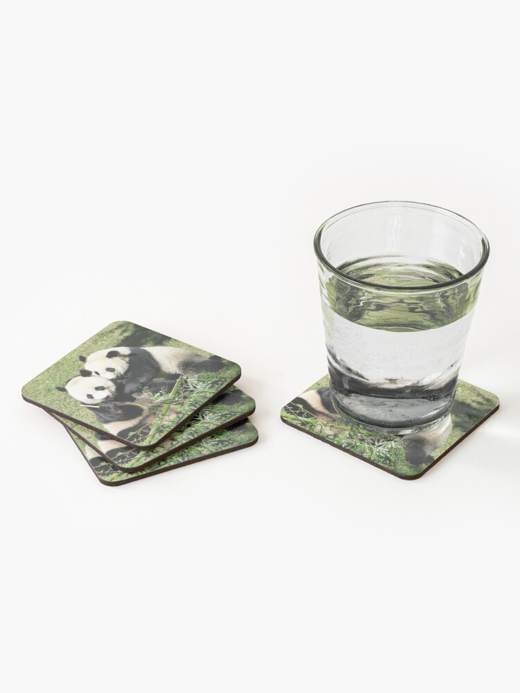 Alternate view of Giant Pandas Mei Xiang and Bei Bei at the National Zoo Coasters (Set of 4)