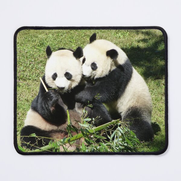 Item preview, Giant Pandas Mei Xiang and Bei Bei at the National Zoo designed and sold by Zoo and Nature Photography by Karie.