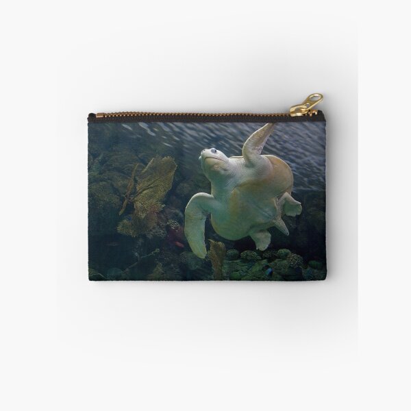 Item preview, Olive Ridley Sea Turtle designed and sold by Brendon Perkins.