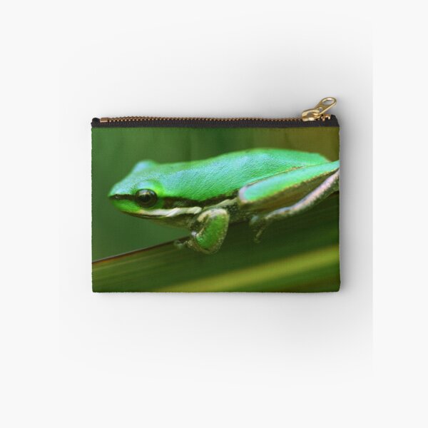 Item preview, Litoria fallax  designed and sold by andrachne.