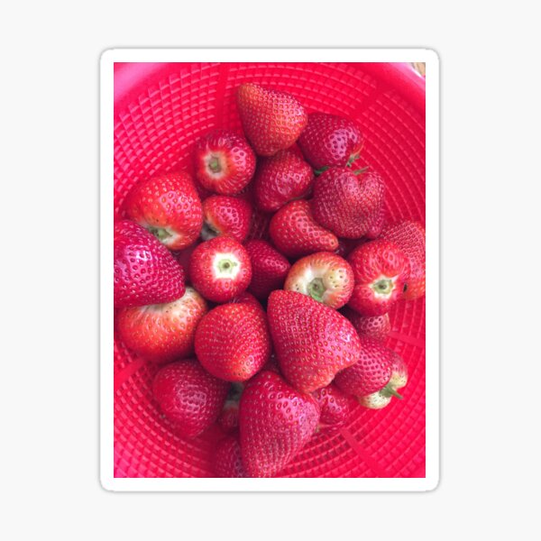 Decals Stickers strawberry fruit Car Atv Bike polymeric vinyl Garage st7 22354