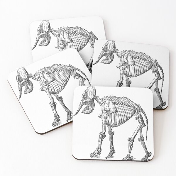 Item preview, Elephant Skeleton | Animal Skeleton designed and sold by Thermopolium.