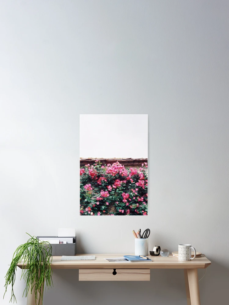 Thumbnail 2 of 3, Poster, Pink Roses designed and sold by Thsid.