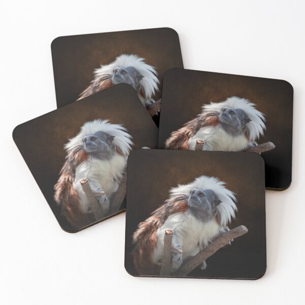 Item preview, Cotton-top Tamarin designed and sold by Savannah Gibbs.