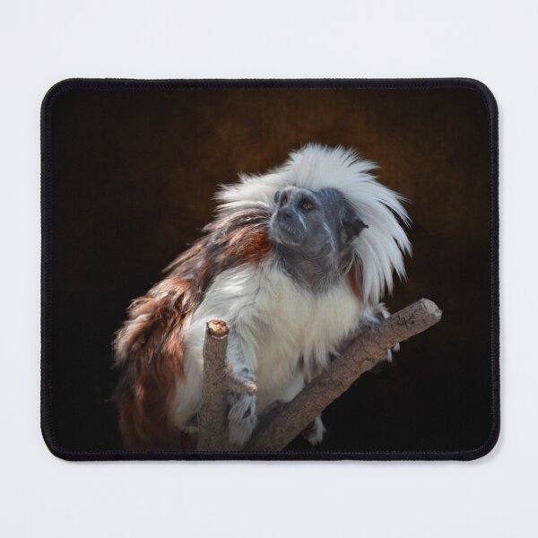 Item preview, Cotton-top Tamarin designed and sold by Savannah Gibbs.