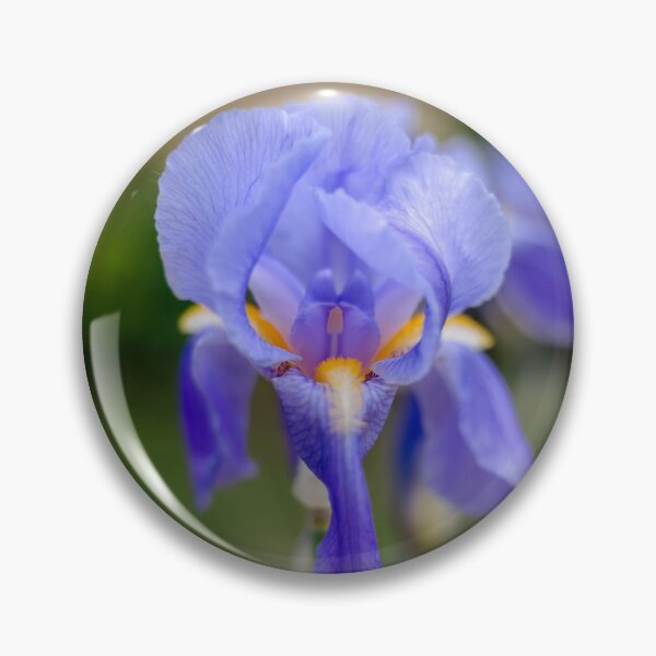 Item preview, Iris designed and sold by KauriMountain.