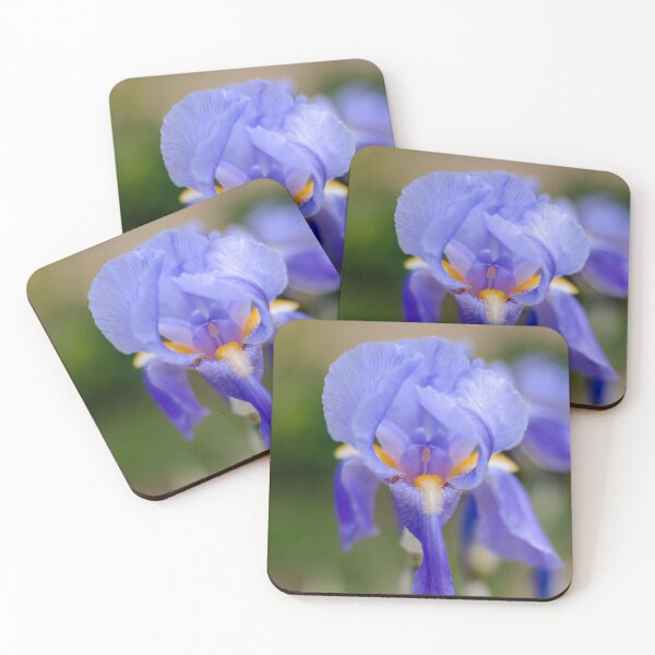 Item preview, Iris designed and sold by KauriMountain.