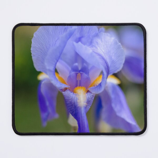 Item preview, Iris designed and sold by KauriMountain.