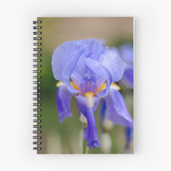 Item preview, Iris designed and sold by KauriMountain.