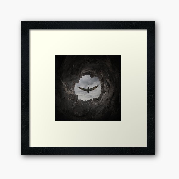 Freedom Framed Art Print