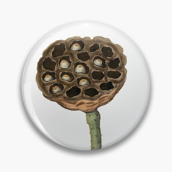 Item preview, Lotus Seed 1812 designed and sold by BelleZeare.