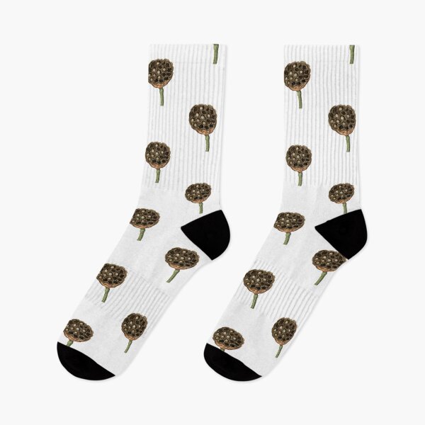 Item preview, Lotus Seed 1812 designed and sold by BelleZeare.