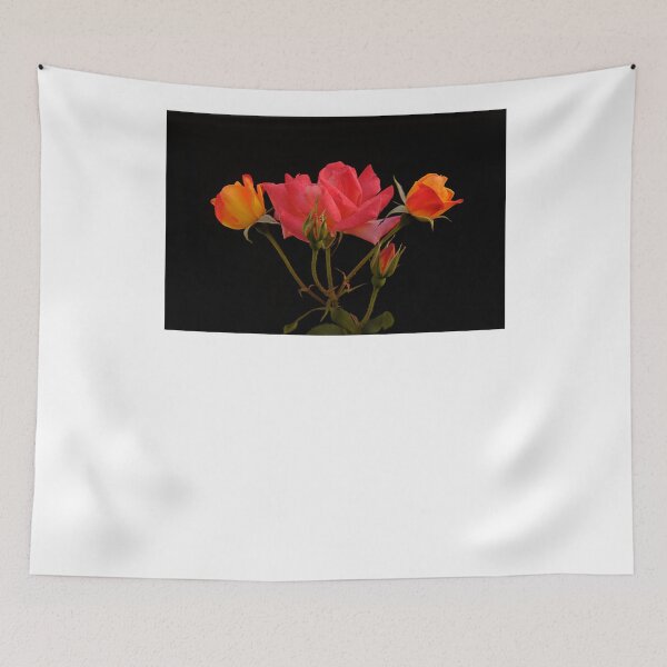 Item preview, _DSC0129 Present It To Someone You Love designed and sold by Sunil Kapadia.
