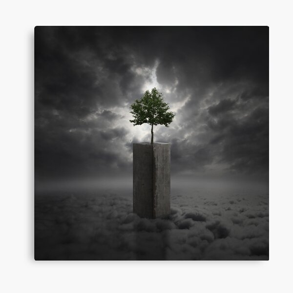 Against All Odds Canvas Print