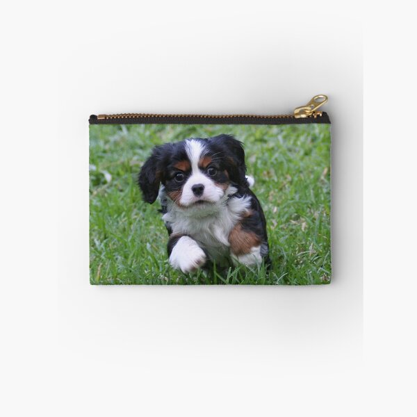 Item preview, I'm Coming! designed and sold by Jenny Brice.