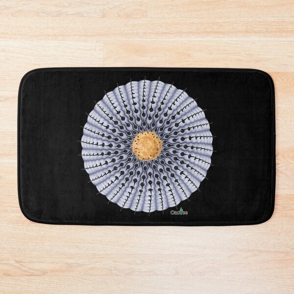 Item preview, Copiapoa Cinerea Columna-Alba designed and sold by Cactee.