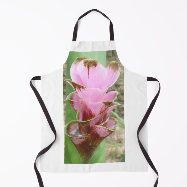 Item preview, Bird 602 Variety Dutch tulip-like Ginger planted by tubers found in northern Thailand designed and sold by greengoodnich.